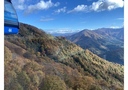 田代高原2011