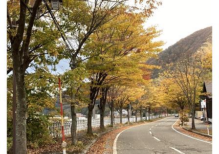 田代高原205